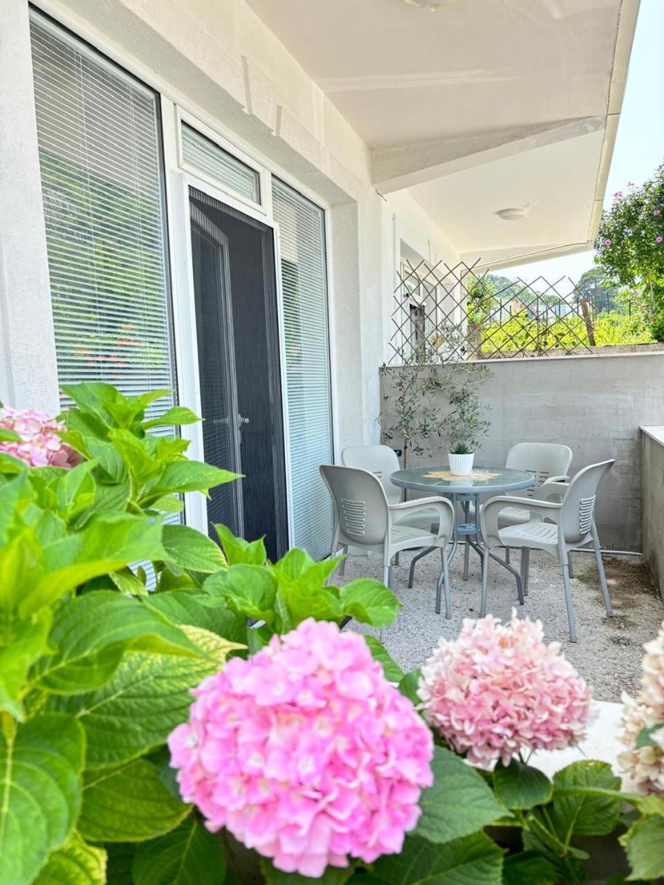 Apartments Boka Pearl Kotor Dış mekan fotoğraf